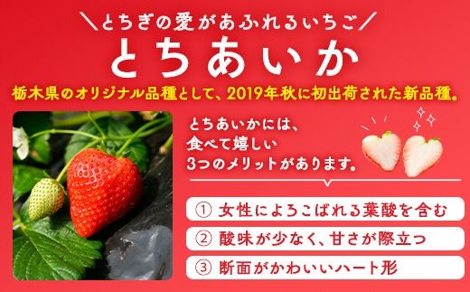 いちご（とちあいか） 290g×4パック 1.16kg以上｜先行予約 数量限定 栃木県 果物 くだもの フルーツ 苺 イチゴ ※2024年11月下旬頃～2025年3月下旬頃に順次発送予定