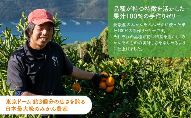 飲みやすいスタンドタイプ 愛媛まるごとゼリー 3種15個 ※離島への配送不可 IKTF027