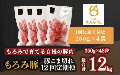 【定期便 12回配送】【石垣島ブランド豚】もろみ豚 豚こま切れ 250g×48袋【合計12kg】【もろみで育てる自慢の豚肉】簡単 便利 小分け 小間切れ 細切れ 12ヶ月 12か月 12ヵ月 AH-16-1