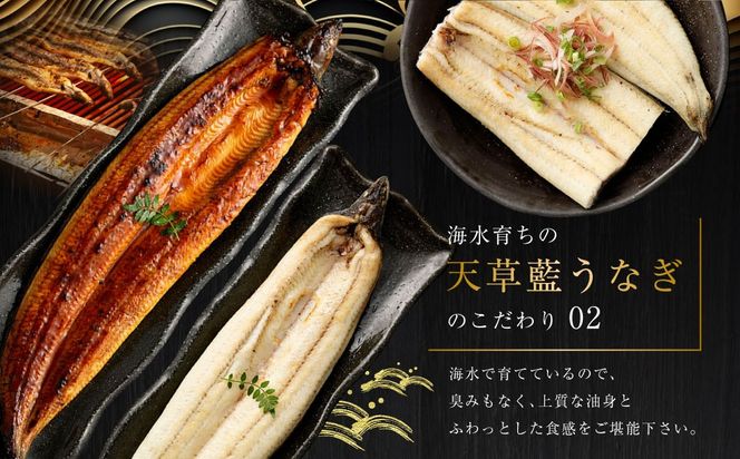 yF{Vszy~Vt̃vpzC炿̓VȂ g3`4Zbgyv600gzEiM V Ă Ă ʌ!!