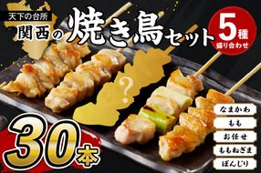 国産焼き鳥セット 5種盛り合わせ30本　焼鳥 やきとり ヤキトリ yakitori 鳥 鶏 鶏肉 もも モモ ねぎま ネギま なまかわ なま皮 テール 串 国産 冷凍 惣菜 おかず おつまみ セット 小分け 鳥肉 大量 大盛り キャンプ きゃんぷ ソロキャンプ アウトドア あうとどあ チキン KN00008