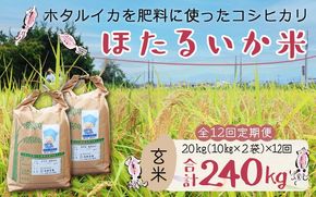 【訳あり】ほたるいか米（玄米20kg）×12回 計240kg【12ヶ月定期便】