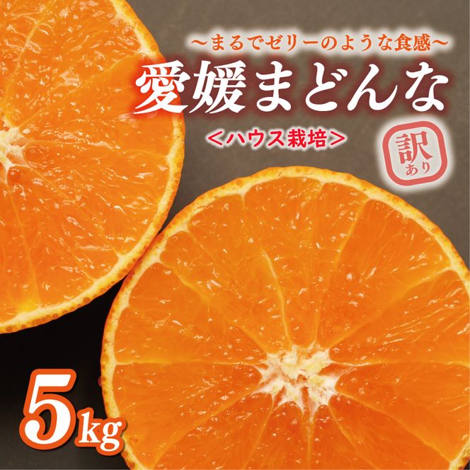 数量限定 ハウス栽培 訳あり まどんな 5kg わけあり みかん mikan 蜜柑 ミカン 国産 愛果28号 紅まどんな 同品種 あいか アイカ 高級 人気 ブランド 柑橘 ハウス栽培 マドンナ 甘い おいしい 前田ファーム 愛南町 愛媛県