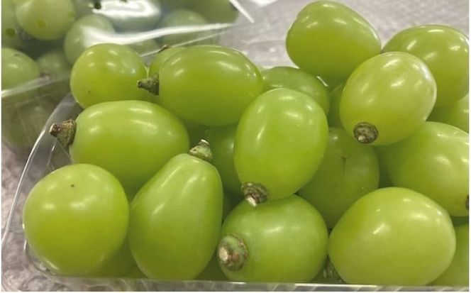 【2026年先行予約】 【粒カットバラ品】 Lino＆Kai Farmのシャインマスカット(2kg程度）/ 朝採れ ぶどう 岡山 真庭市 シャインマスカット 高級 ギフト 大粒 果物 ご自宅用 人気 産地直送 国産 数量限定 種なし 【linokai004-02】