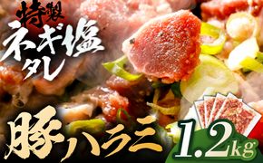 豚ハラミ特製ねぎ塩　1.2kg 【kw0096-0981】