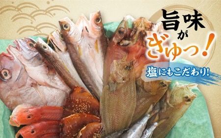 【全6回定期便】【塩 にも こだわり ！ 】玄海 の 海旬 の 干物 セット ( 3,4人向け ) 糸島市 / 福ふくの里 [ALD006] 干物 魚 魚介類 セット 冷凍 鯛 タイ サバ アジ スズキ