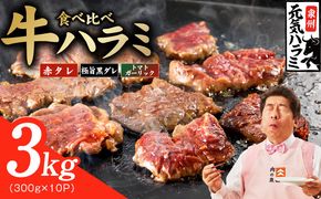 030D280 【3種食べ比べ】牛ハラミ肉 3kg（300g×10P）【牛肉 はらみ 小分け 焼肉 お弁当 BBQ 訳あり ワケアリ わけあり サイズ不揃い 規格外 TVで話題】