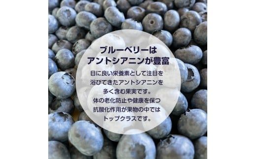 【先行予約：2026年8月中旬以降発送】【余市産無農薬】冷凍ブルーベリー 残留農薬検査済み 2026年収穫_Y155-0002