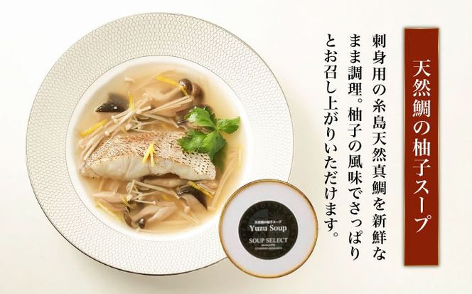 【全3回定期便】SoupSelect 2点セット 糸島市 / 糸島正キ スープ レトルト[AQA071] スープ soup スープセット 野菜スープ きのこ ヴィーガンスープ 惣菜