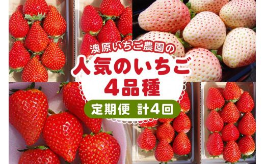 [定期便/4回] 澳原いちご農園人気のいちご4品種お届け定期便 (毎月1品種お届け 計4回)|とちあいか とちおとめ スカイベリー ミルキーベリー いちご イチゴ 苺 フルーツ 果物 産地直送 栃木県産 期間限定 数量限定 先行予約 [0605]