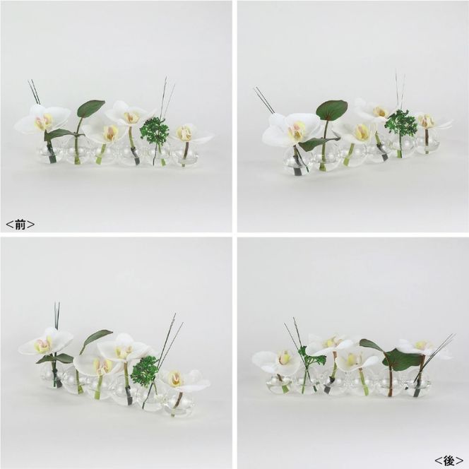 アートフラワー エミリオ・ロバ ファレノプシス6W TTNTA-03150