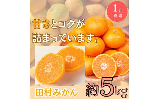 【全3回定期便】旬のフルーツ定期便 【田村みかん /  紀州デコ(不知火) /  桃】 ～和歌山の旬をお届け～ / みかん ミカン 温州みかん 有田みかん 不知火【tkb313】
