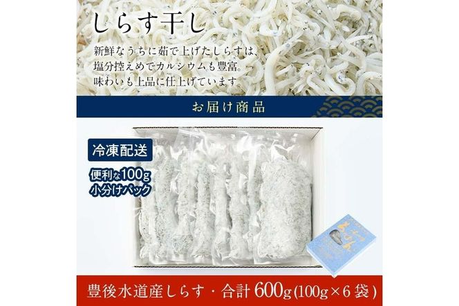  豊後水道産 しらす (合計600g・100g×6袋) 冷凍 しらす しらす丼 丼ぶり 魚 さかな ご飯 ごはん 炒飯 チャーハン パスタ サラダ 国産 大分県 パック 小分け 便利 大分県 佐伯市【CT09】【 (有)高橋商店】