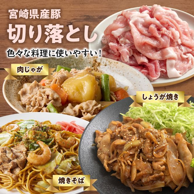 延岡よっとん＆宮崎県産豚 皿盛り2皿セット 各600g×1 N0220-YA5536