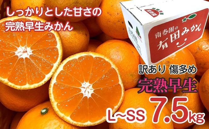 定期便 訳あり 傷多め 7.5kg × 3回 コース 有田みかん 食べくらべ 3種 全3回 南泰園 みかん BS825