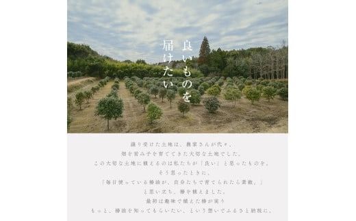 志布志椿苑 椿油(180g×2本) b2-047