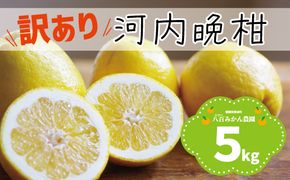 【 訳あり 】 河内晩柑 5kg 先行予約 <発送期間：4月上旬～無くなり次第終了> 八百みかん農園 の かわちばんかん 7000円 家庭用 5kg 先行 事前 予約 受付 みかん 愛南ゴールド 美生柑 文旦 グレープフルーツ 和製 防腐剤不使用 愛媛 産地直送 国産 農家直送 糖度 果樹園 期間限定 数量限定 特産品 ジュース 人気 限定 愛南  新鮮 さわやか 甘い フルーツ 果物 柑橘 蜜柑