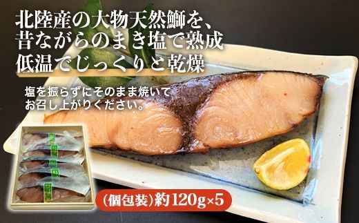 【射水市】【射水のおいしい食品】【海鮮】塩鰤（5切入） ※離島への配送不可