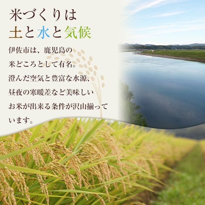 isa793 《数量限定・12回定期便》令和7年産 小北農場の新米 伊佐黄金米〈ヒノヒカリ〉(計120kg・5kg×2袋×12回) 鹿児島 伊佐 新米 お米 120kg 定期便 12回 特別栽培米 伊佐米 白米 ヒノヒカリ ひのひかり おにぎり ごはん  【小北農場】