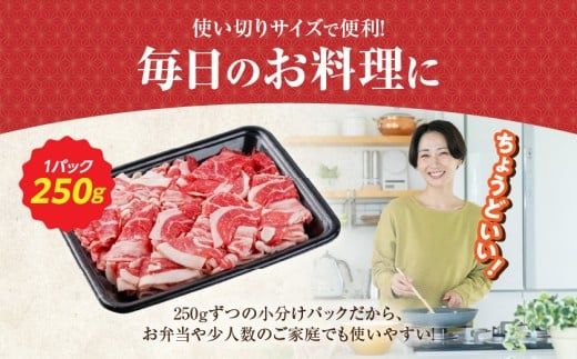 【黒毛和牛】切り落とし2kg(250g×8パック)_23-I901_(都城市) 国産黒毛和牛 切り落とし 外モモ・ウデ・マル・バラ・モモ・ブリスケ MIX 250g×8パック 小分けパック ブリスケ 