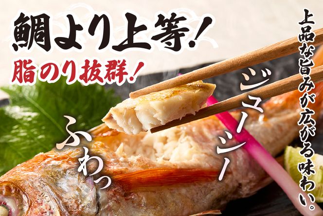 【兵庫県香住産 処理済 のどぐろ大3匹 1匹約250g前後 計約700～800g 冷凍】令和8年3月下旬以降、順次発送予定 日本海 生冷凍 鮮度抜群 急速冷凍 白身のトロ 産地直送 兵庫県 香美町 香住 柴山 山陰 大人気 おすすめ 宿院商店 33-31
