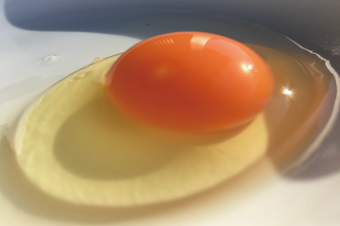 【先行予約】【2026年2月より順次発送】＼大容量／黒麹育ちの赤たまご75個 |栃木県 益子町 ふるさと納税 たまご 卵 タマゴ 赤たまご 人気 濃厚 食べチョク (BC008)