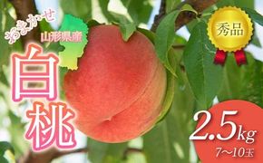 FYN6-226 ≪2026年先行予約≫贈答用 山形県産 おまかせ 白桃 2.5kg(7～10玉) 秀品 2026年8月下旬から順次発送 柔らかくなる桃 夏果実 果実 果物 くだもの フルーツ 桃 もも ピーチ 化粧箱 贈答 ギフト プレゼント 産地直送 山形県 西川町 月山