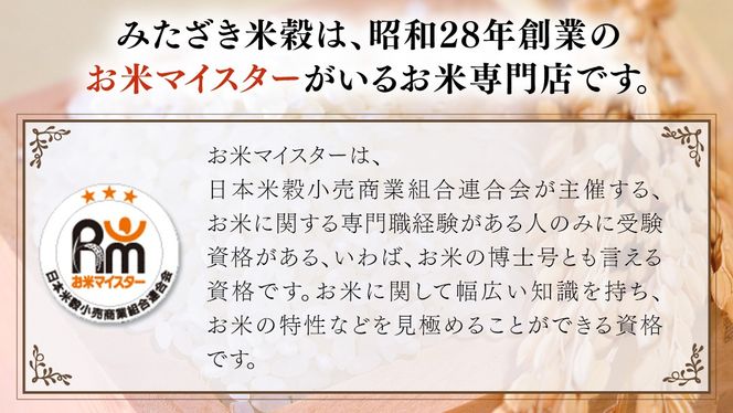 【 定期便 6ヶ月 】 茨城県 筑西市産 にじのきらめき 10kg ( 障がい者アート パッケージ ) ( 5kg × 2袋 ) 令和6年産 精米 米 お米 コメ 白米 茨城県 筑西市 三ツ星 マイスター [CH025ci]