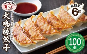099Z557 【泉佐野ブランド豚】犬鳴豚餃子 100個×6回【国産 豚肉 ぶたにく 定期便 犬鳴ポーク 焼くだけ 人気 総菜 冷凍】