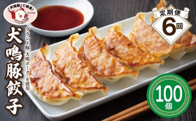 099Z557 【泉佐野ブランド豚】犬鳴豚餃子 100個×6回【国産 豚肉 ぶたにく 定期便 犬鳴ポーク 焼くだけ 人気 総菜 冷凍】