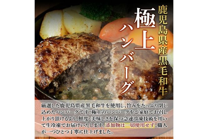 a750 鹿児島県産黒毛和牛ハンバーグセット(200g×5パック)【AKR Food Company】姶良市 国産 牛肉100% 冷凍 小分け