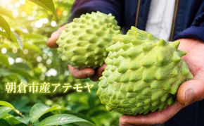 アテモヤ 世界三大果実 ぱぁ～しもん屋 配送不可 離島 果物詰合せ フルーツ 