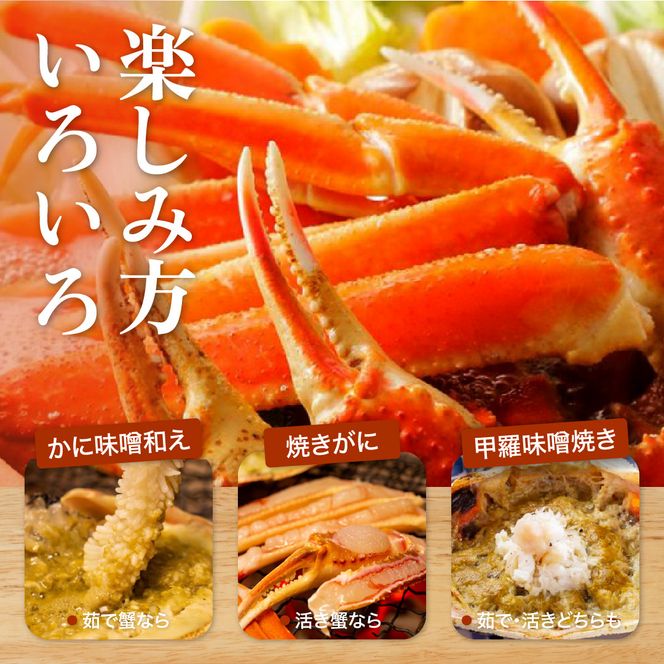 1052.【2025年12月～2026年1月発送】特撰 松葉がに（茹）【訳あり】700g超のサイズ 食べ応えあり 3杯 313726_BS048