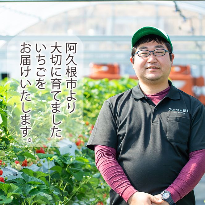 ＜先行予約受付中！2027年1月以降順次発送予定＞農園ガーデン空産いちご 恋みのりセット(計1.1kg・280g×4P)国産 イチゴ 苺 フルーツ 果物【農園ガーデン空】akn026-02