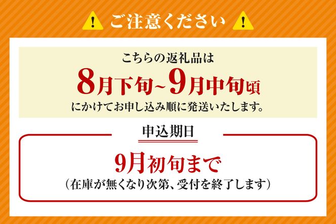 《2026年産 先行予約》【梨 二十世紀梨 香住梨 3kg ご自宅用 優品（Bランク）L～5Lサイズ混合6～10玉】【令和8年8月下旬以降発送予定】 梨 20世紀梨 香住梨 シャキシャキ 甘味 瑞々しさ 香住梨 フルーツ 果物 ご家庭用 なし ナシ 和梨 青梨 大人気 おすすめ ランキング 兵庫県 香美町 香住 JAたじま たじまんま 76-03