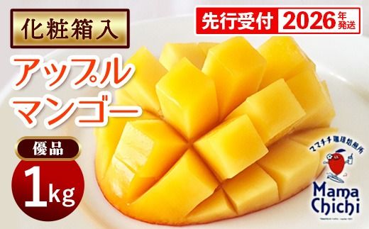 【化粧箱入】【先行受付・2026年発送】ママチチマンゴーファームの優品・化粧箱アップルマンゴー約1kg - 先行予約 沖縄県産 産地直送 南国フルーツ 旬の味覚 旬のフルーツ 贈り物 ギフト 沖縄県 八重瀬町