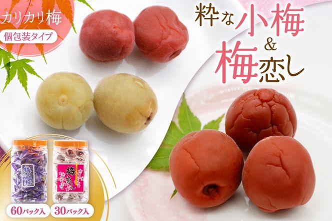 梅干し 粋な小梅ポット 60個入 & 梅恋しポット 30個入 [山梨農産食品 山梨県 韮崎市 20743522] 梅干 うめぼし 個包装 食べ比べ 梅 漬物 つけもの おやつ  おつまみ 熱中症予防