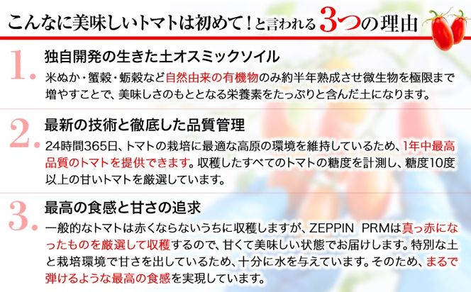 トマト フルーツトマト ZEPPIN PRM(プレミアム) 500g《120日以内に出荷予定(土日祝除く)》 高濃度 株式会社ジェイ・イー・ティ・アグリ 甘い うまみ とまと ミニトマト 野菜 岡山県 笠岡市---A-187a---