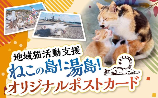 ねこの島！湯島！オリジナルポストカード【地域猫活動支援】 猫 ねこ ネコ オリジナルグッズ ポストカード 2種 セット 猫島 猫の島 湯島 熊本県 上天草市
