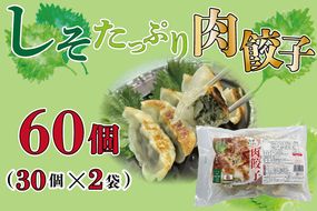 AE-52【ローズポーク使用】JA・しそたっぷり肉餃子（30個）2袋