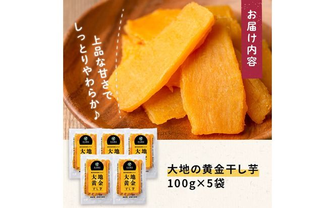 大地の黄金干し芋 計500g(100g×5袋) p7-039