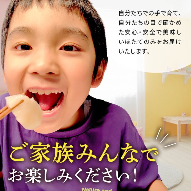 【最短当日発送】北海道オホーツク 湧別沖 ほたて 玉冷小分け パック  900g（300g×3P）【 ホタテ 帆立 ほたて スタンドパック 海鮮 刺身 貝 貝柱 魚介 魚介類 冷凍 北海道 湧別町 】