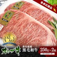 「期間限定」香川県産黒毛和牛オリーブ牛「ロースステーキ 250g×2枚」牛肉 肉 お肉 和牛 香川 香川県 東かがわ市