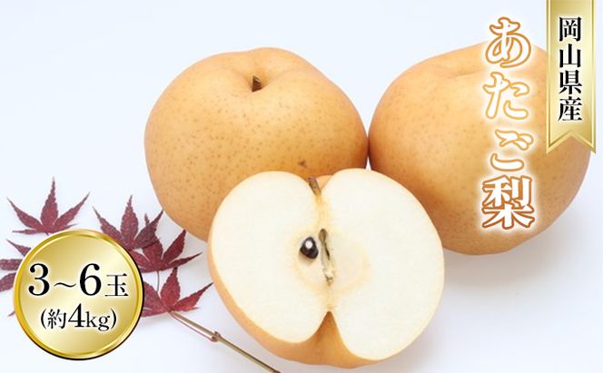 梨 2026年 先行予約 あたご梨 約4kg 3～6玉入り  なし ナシ  岡山県産 国産 フルーツ 果物 ギフト 和梨 デザート 食後 日本一の大きさ 大玉 シャリシャリ 