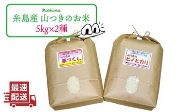 [新米]福吉産 の お米 ・ 2品種 セット 糸島市 / 二丈赤米産直センター [ABB011] 米 食べ比べ