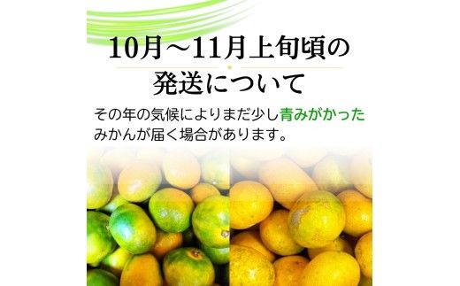 【2026年10月発送予約分】＼光センサー選別／農家直送 こだわりの完熟有田みかん 約10kg＋150g(傷み補償分) 【ご家庭用】 【10月発送】有機質肥料100% 有田みかん みかん ミカン 蜜柑 柑橘 果物 フルーツ 甘い 温州みかん 先行予約 【nuk101-10】