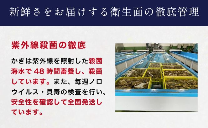 北海道厚岸産【殻かき三種】食べ比べ セット 魚貝類 生牡蠣 送料無料 新鮮 濃厚 大粒 