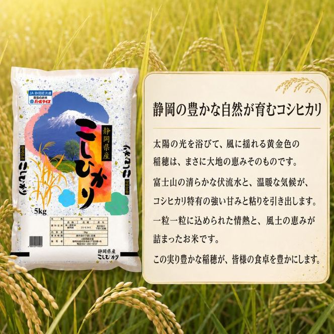 米 静岡コシヒカリ 5kg×2 コシヒカリ お米 白米 コメ 静岡県産