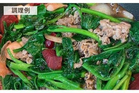 糸島そだちのにんにく 生ドレッシング（285ml×1本）【農香美人】 [AAG010] ドレッシング ボトル 栽培期間中 農薬不使用 野菜 お試し