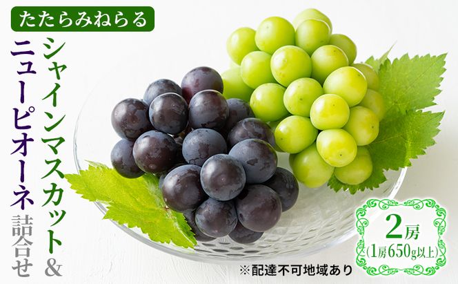 【2026年先行予約】 ぶどう 岡山県産 たたらみねらる シャインマスカット & ニューピオーネ 詰合せ 2房(1房650g以上) 《2026年9月上旬-下旬頃出荷》 葡萄 ブドウ フルーツ 果物  数量限定 期間限定 岡山 里庄町